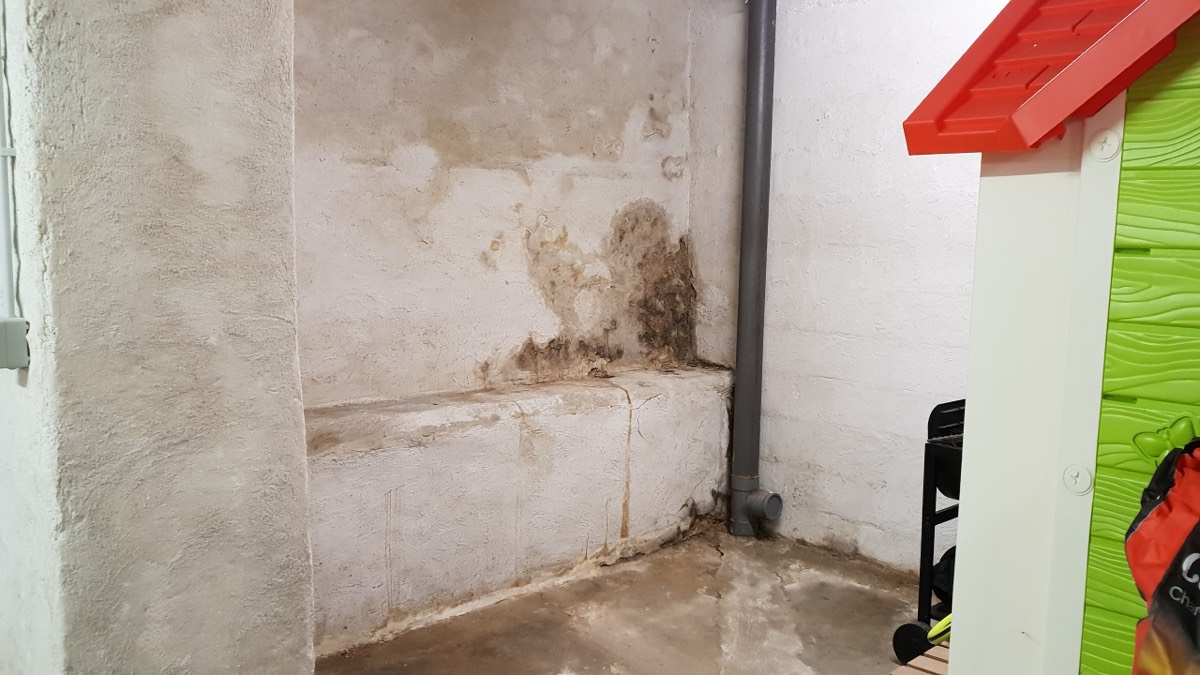 Infiltrations d'eau - Expertise humidité à Nevers